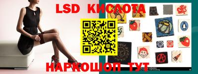 крисы Кулебаки
