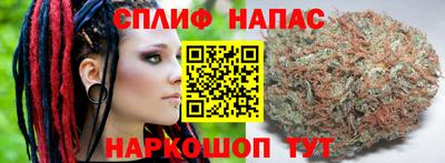 гашик Краснодар