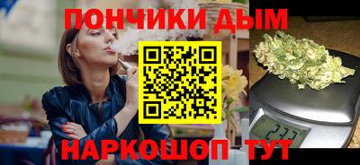 крисы Кулебаки