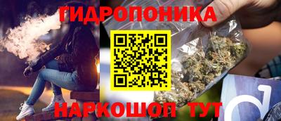 гашик Краснодар