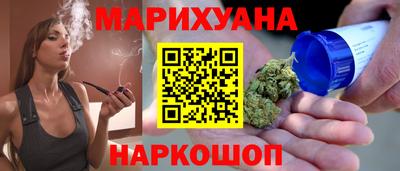 крисы Кулебаки