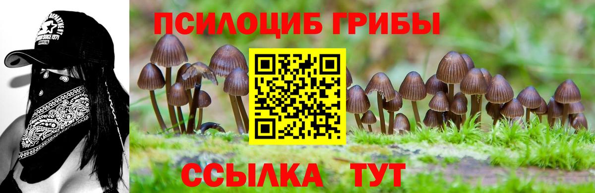 Галлюциногенные грибы Cubensis Усинск